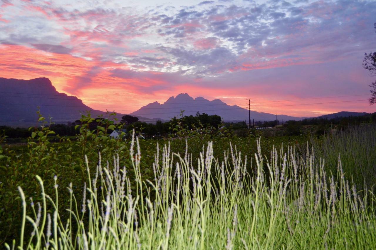 Heuwelsig Cottages Franschhoek Exterior photo